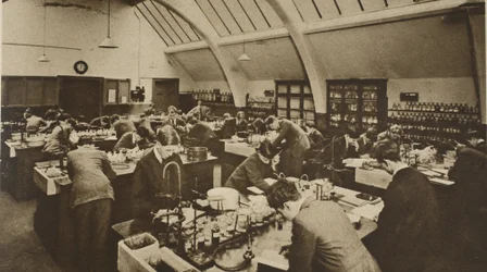 Students at work at a Polytechnic laboratory